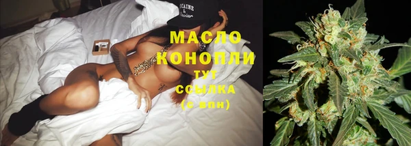 дмт Алзамай