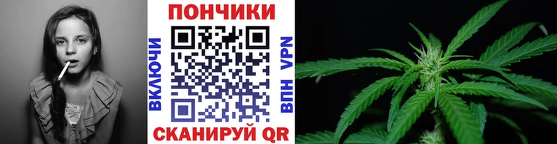 купить наркотик  Чапаевск  Канабис семена 